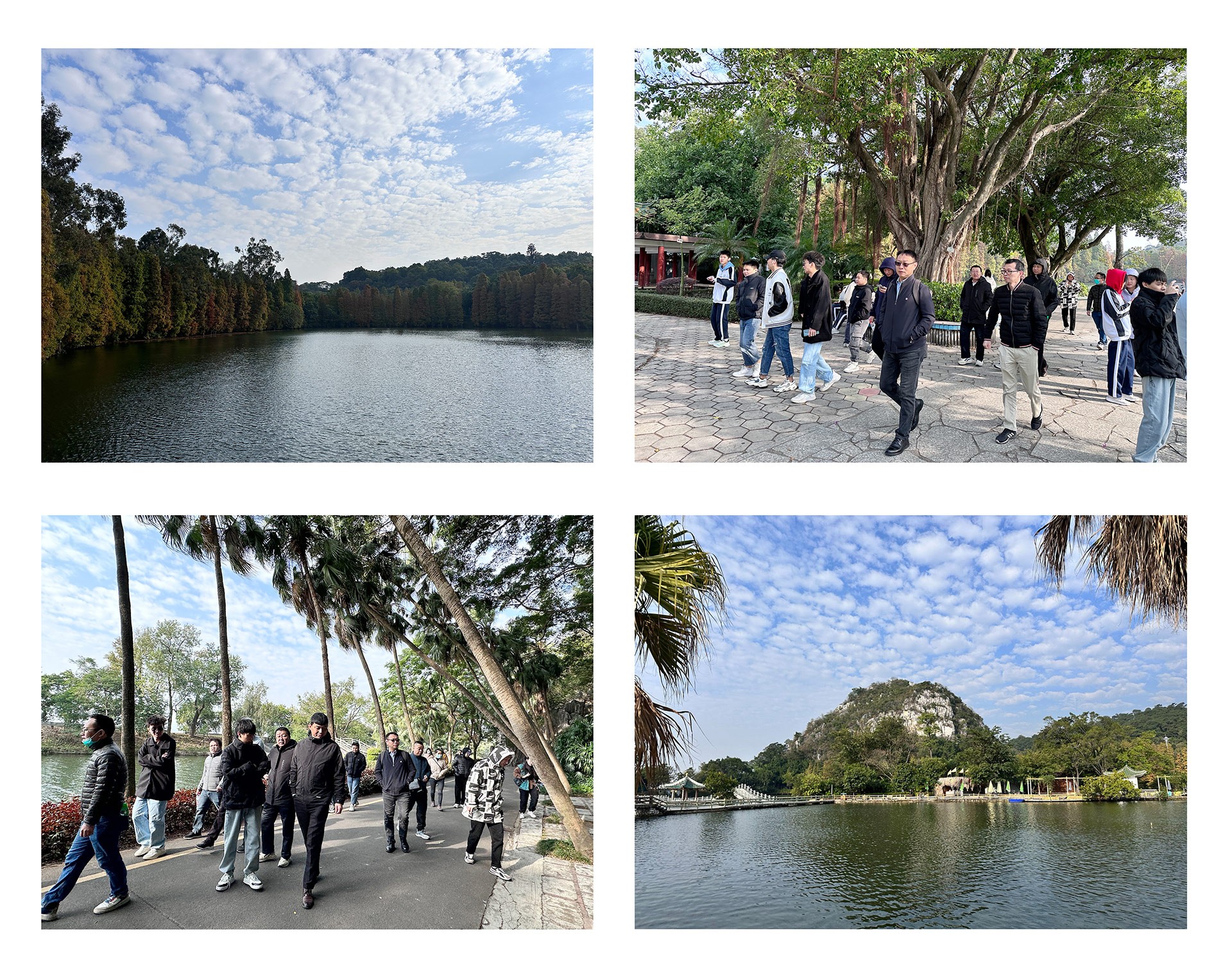 【团建日记 | 百度雷竞技计算机肇庆七星岩团建活动】(图2) 【团建日记 | 百度雷竞技计算机肇庆七星岩团建活动】(图2)