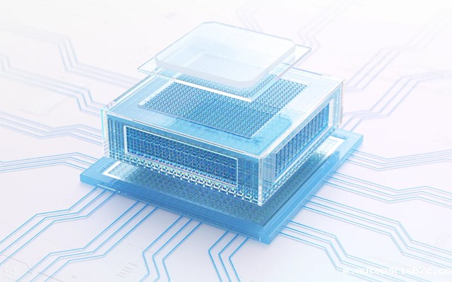 国产芯硬核实力！D2000雷竞技官方网页版官主板赋能更广泛