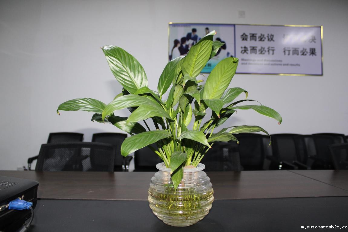 【百度雷竞技计算机】您的每一个生日 我都不想缺席